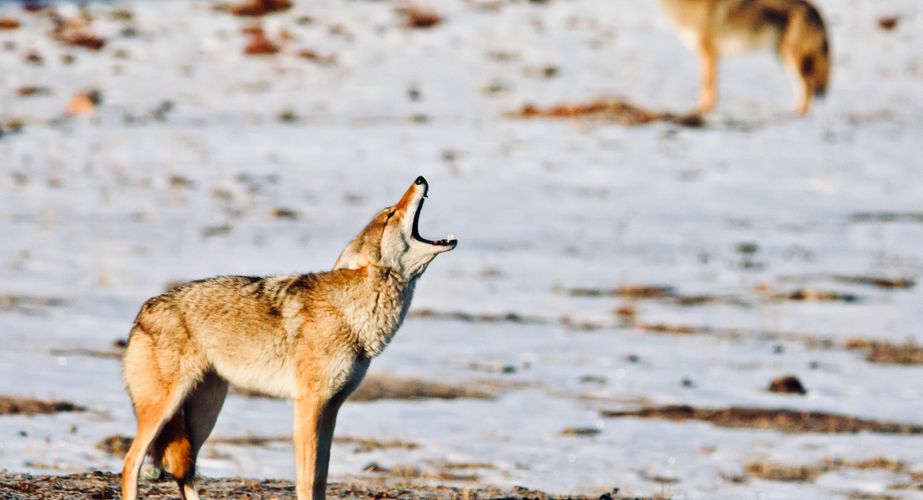 Photo by Travel South Dakota 9 Photo by Travel South Dakota 9